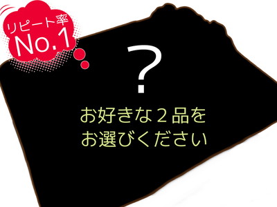 お好みックス弁当(お好きな2品)